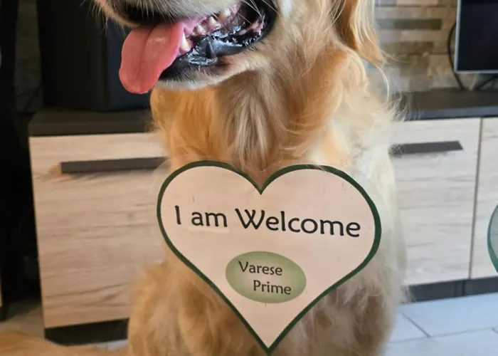 Hébergement de vacances Prime - Air Conditioning, 2 Parking, 2 Baths, Centre, 200mt Esengrini Montalbano, No Keybox *